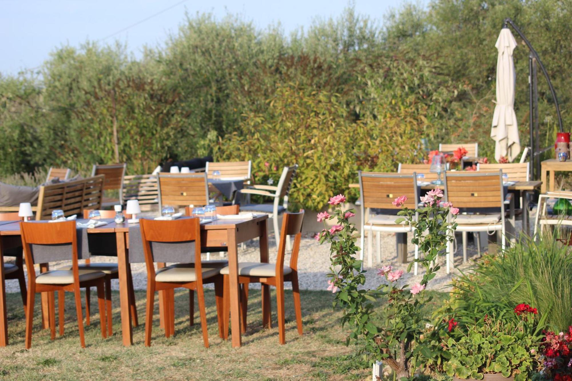 Gastronomic B&B Carlocarla Monte San Pietrangeli Eksteriør bilde